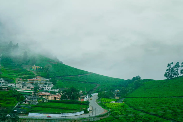 Bangalore Mysore Coorg tour package